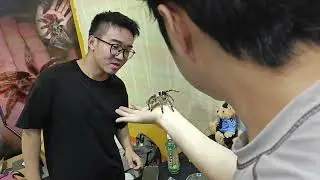 「萌動世界，寵向未來」世寵會杭州展。