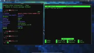 How to practice Python3 in Kali Linux 2021