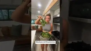 Our Family Eats This Poisonous Weed Here is How We Cook It 🧑‍🍳 #cooking #southerncooking #cook