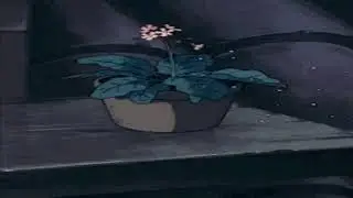 Daniel Caesar - We Find Love { slowed + reverb }