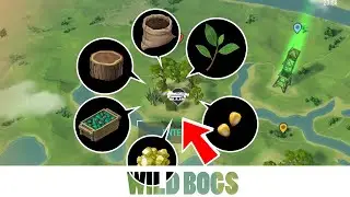 WILD BOGS: What's there? Last Day On Earth Survival | LDOE★Tips 