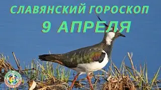 Славянский гороскоп на 9  апреля   2021 года.   Народный календарь на   9  апреля   2021 года.