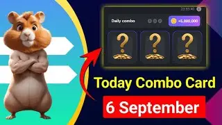 daily combo card Hamster kombat || 6 September combo card || today combo card Hamster kombat