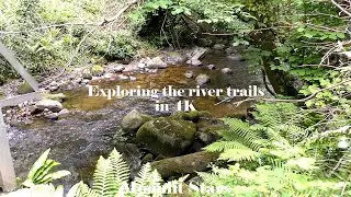 Exploring the river trails in 4K