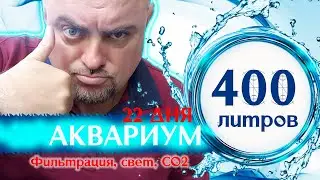 Аквариум 400 литров. 22 дня после запуска. Фильтрация, свет, СО2.