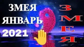 Змея в Январе 2021. Восточный ( китайский) Гороскоп для знака Змея на Январь 2021 года.