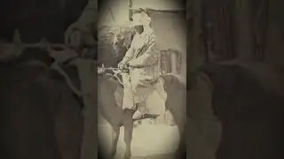Понимают ли узбеки турецкий язык?