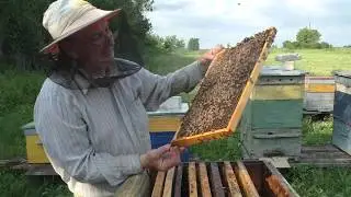 объединние через канди в клеточке Титова