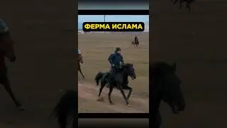 Ислам Махачев показал свою Ферму