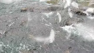 relaxing sounds healing stress with natural water sounds