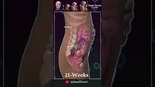 Watch the Pregnancy Miracle in 30 Sec 👶🏻💞