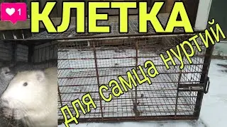 Клетка для нутрий