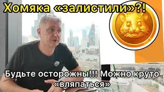 Хомяка (Hamster Combat) залистили на Bybit?! Будьте осторожны! Объясняю суть