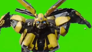 Bumblebee Green Screen