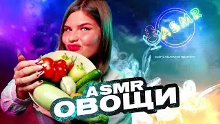 🔥⭐ASMR ОВОЩИ🥬🍄🥒🍅АСМР ОГУРЧИК🥕💚🏕️