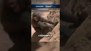 Взаимовыгодное сотрудничество🔥