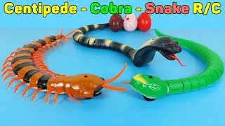 RC Centipede, Cobra, Snake Remote Control, Simulation And Rechargeable | Unboxing & Review