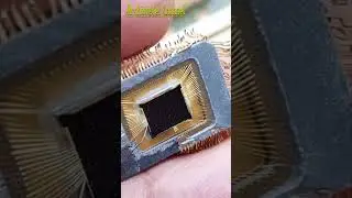 What's inside the microprocessor chips 