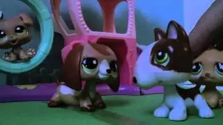 Littlest Pet Shop: popularity and me: episode 2