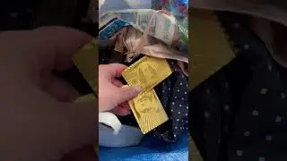 Нашла золотые карты 😳 на свалке скоро 