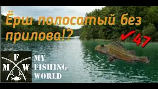 47) My Fishing World ёрш полосатый без прилова!?