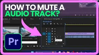 How to Mute Audio in Adobe Premiere Pro!!