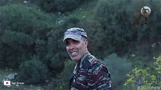 Hunting: Top 5 Wild Boar Shooting, BEST 5 Wild Boar Hunting