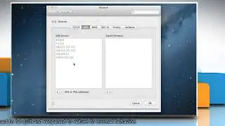How to Configure DNS Settings in Mac® OS X™