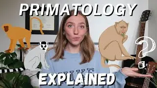 What Is Primatology? | Anthropology Graduate Explaines Definition, Examples, Jobs, Research, & More!