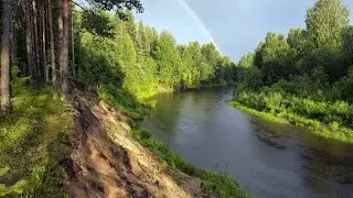 Владимир Крупин. Лист кувшинки. Берестяная грамота