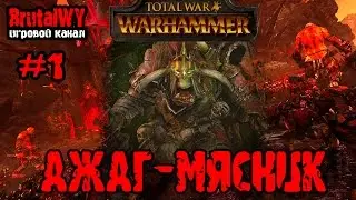 Ажаг-Мясник! Начало кампании за орков! // Total War: Warhammer - Orcs №1