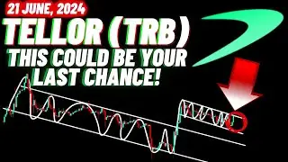 This Could Be Your Last Chance To Buy Tellor TRB Crypto Coin | 21 June, 2024