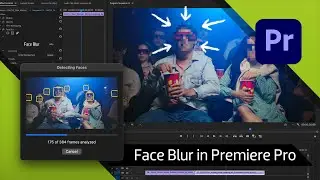 FxFactory Face Blur for Premiere Pro First Look