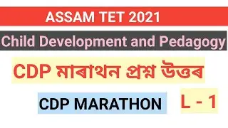 CDP MARATHON QUESTIONS WITH ANSWER || CDP ASSAM TET