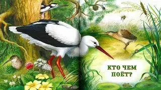 КТО ЧЕМ ПОЕТ? | В.Бианки | аудио сказка | Аудиосказки | Сказки на ночь | Слушать сказки онлайн