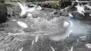 water sounds with pianos for sleeping relaxation