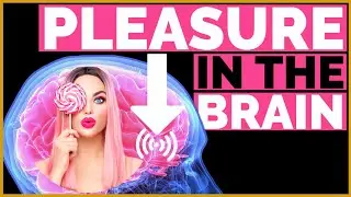 PLEASURE GENERATORS in the Brain: The Neuroscience of Pleasure Explained