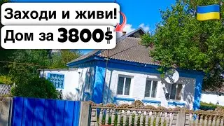 🇺🇦 Заходи и живи! Дом в селе за 3800$ Продажа недвижимости за копейки! Всё есть Уютное тихое село!