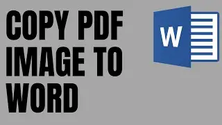 How to Copy PDF Image to Word document