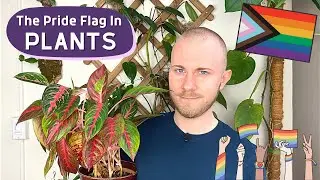 The Pride Flag In Plants