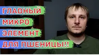 Зачем МЕДЬ Зерновым? Медь для Пшеницы, Ячменя и Овса. Роль Меди в жизни растений.