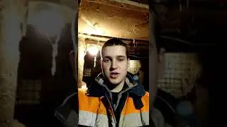Крольчатам 17 дней!! Первый выход из маточника