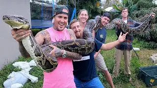 World Record Invasive Burmese Python caught in South Florida !