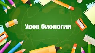 Урок биологии. Футаж