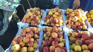 ЧИНОЗ УЛГУРЖИ САВДО БОЗОРИ 20.08.23й 🍇🍉🍊🍑🍎🍈🍏🥬🌶️🍅🧅🫑🌶️🥒👍👍💯💯💯