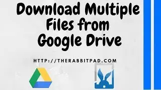 How to Download Multiple Files from Google Drive