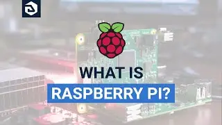 What is Raspberry Pi? | How This Mini Computer Works & Why Companies Use It?