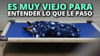 No sabe que su familia lo abandonó, es muy viejo para comprenderlo