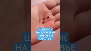 ШЕПОТОК НА ЗДОРОВЬЕ ЛЮБОВЬ СЧАСТЬЕ РИТУАЛ ОНЛАЙН ЖИЗНЬ СТАНЕТ ЛУЧШЕ МГНОВЕННО ОБРЯД