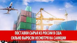 Поставки сырья из России в США сильно выросли несмотря на санкции